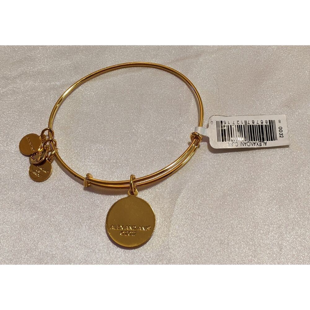 Alex And Ani "Everything Happens For A Reason" Adjustable Charm Bangle Bracelet - Picture 4 of 4
